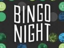 Bingo Night 2019